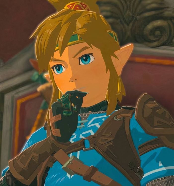 Link from The Legend of Zelda: Tears of the Kingdom sitting and thinking with his hand on his chin.